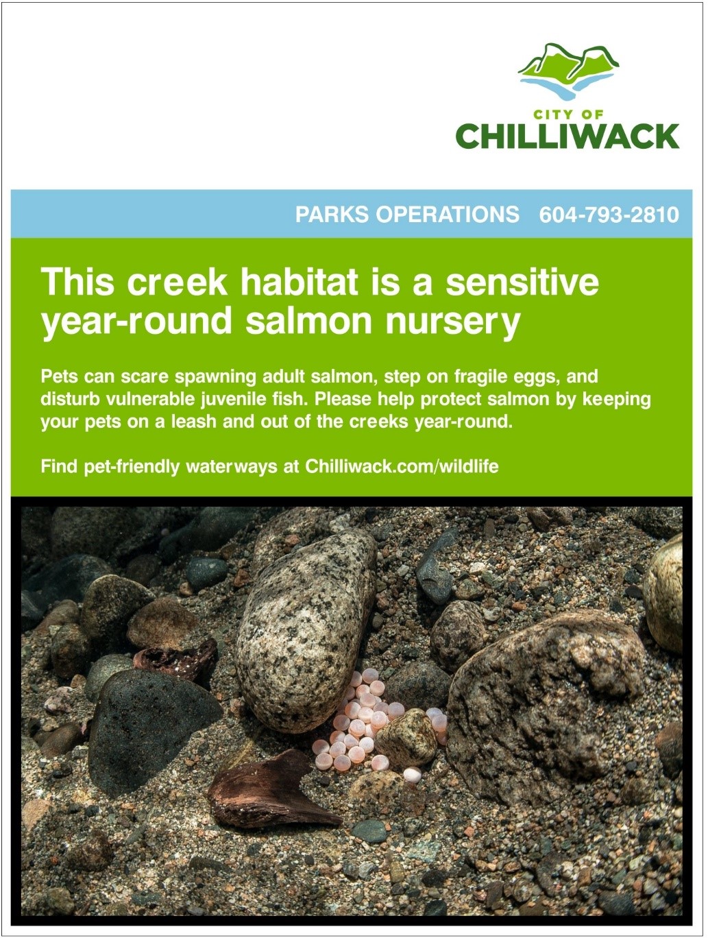 Informational signage posted around sensitive salmon habitats in Chilliwack.